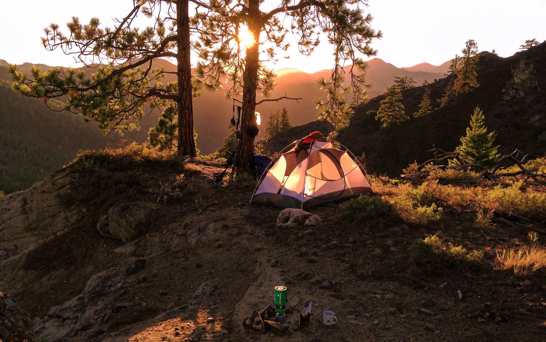 Tent nestled in forested mountains at sunrise, capturing the serene beauty of camping outdoors. on The Frugal Camper