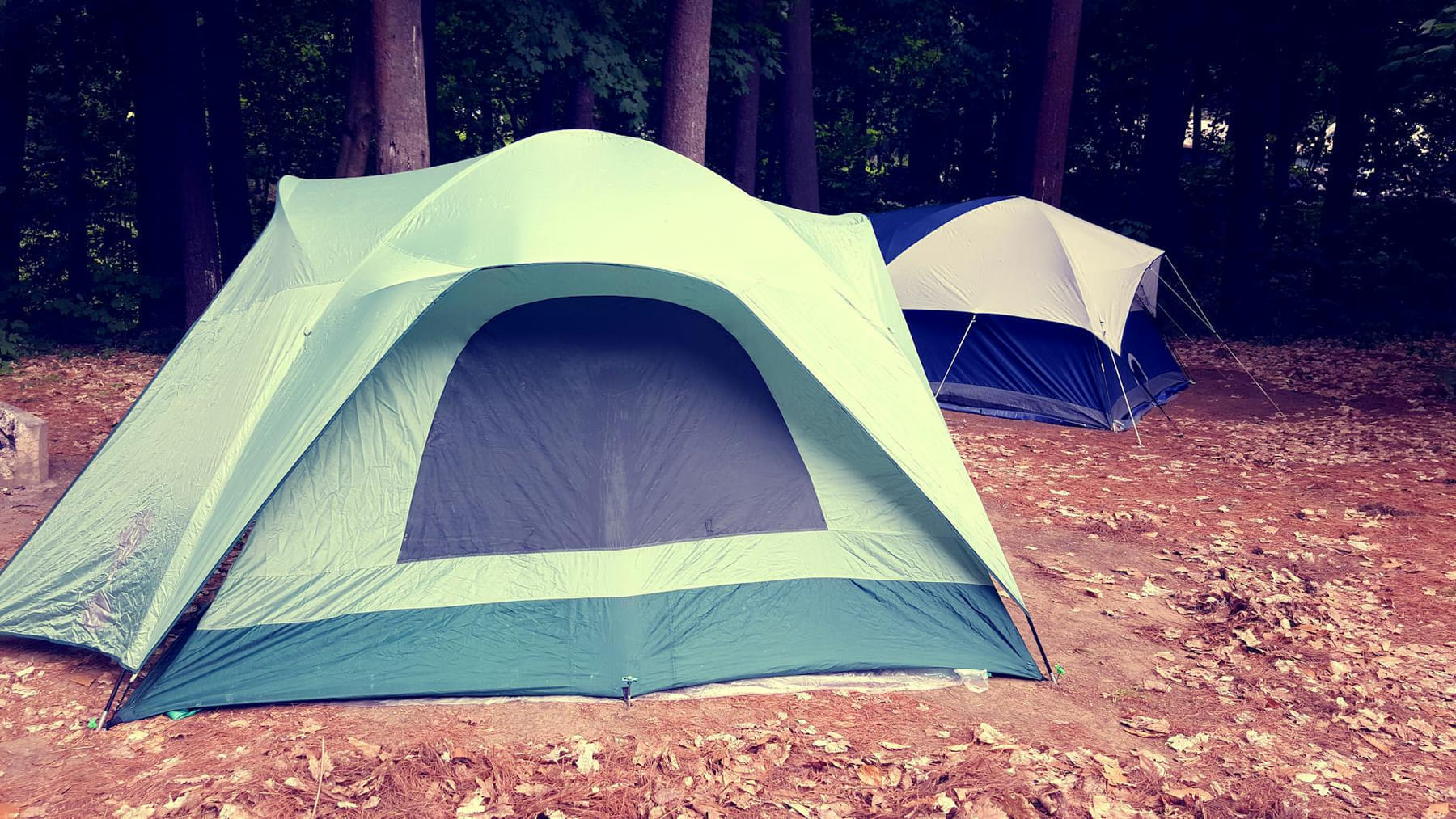 A scenic campsite featuring tents in a wooded area at Lake George, NY. on The Frugal Camper