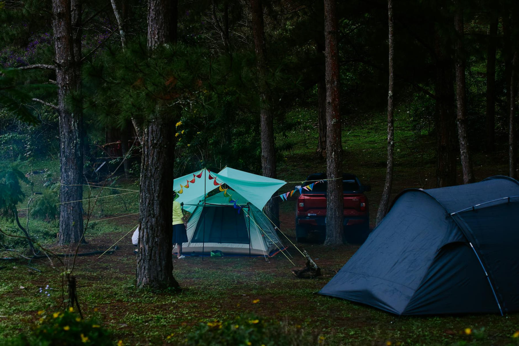 Peaceful camping scene in the forest with tents and vehicle surrounded by trees. on The Frugal Camper