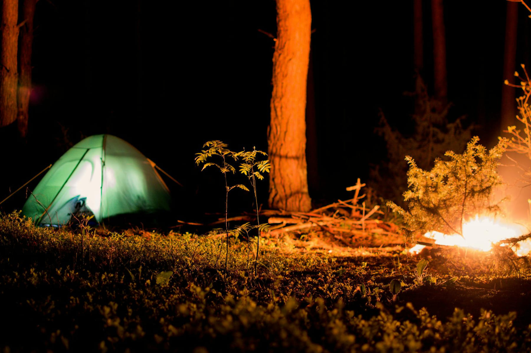A tranquil campsite with a tent and campfire glowing at night, surrounded by forest trees. on The Frugal Camper
