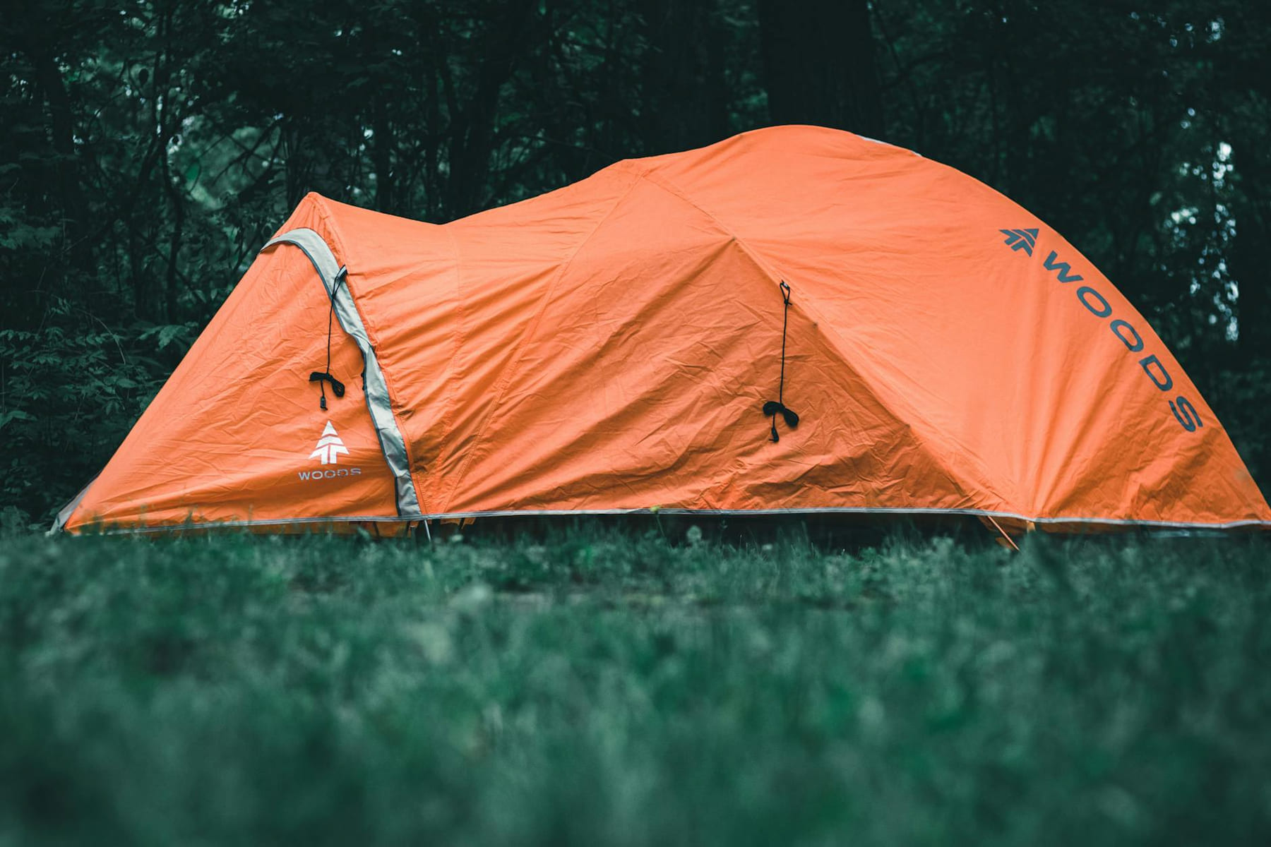 Bright orange tent in a Canadian forest, ideal camping scene. on The Frugal Camper
