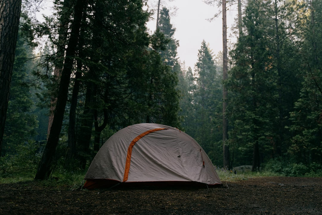 a tent pitched up in the middle of a forest on The Frugal Camper