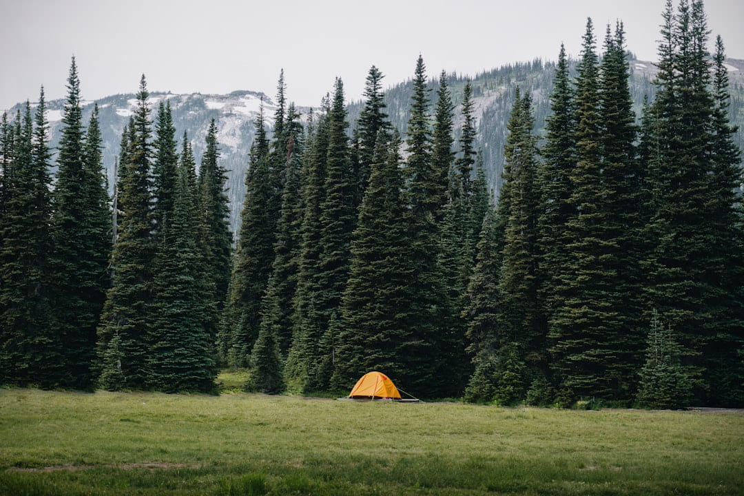 a tent in a forest on The Frugal Camper