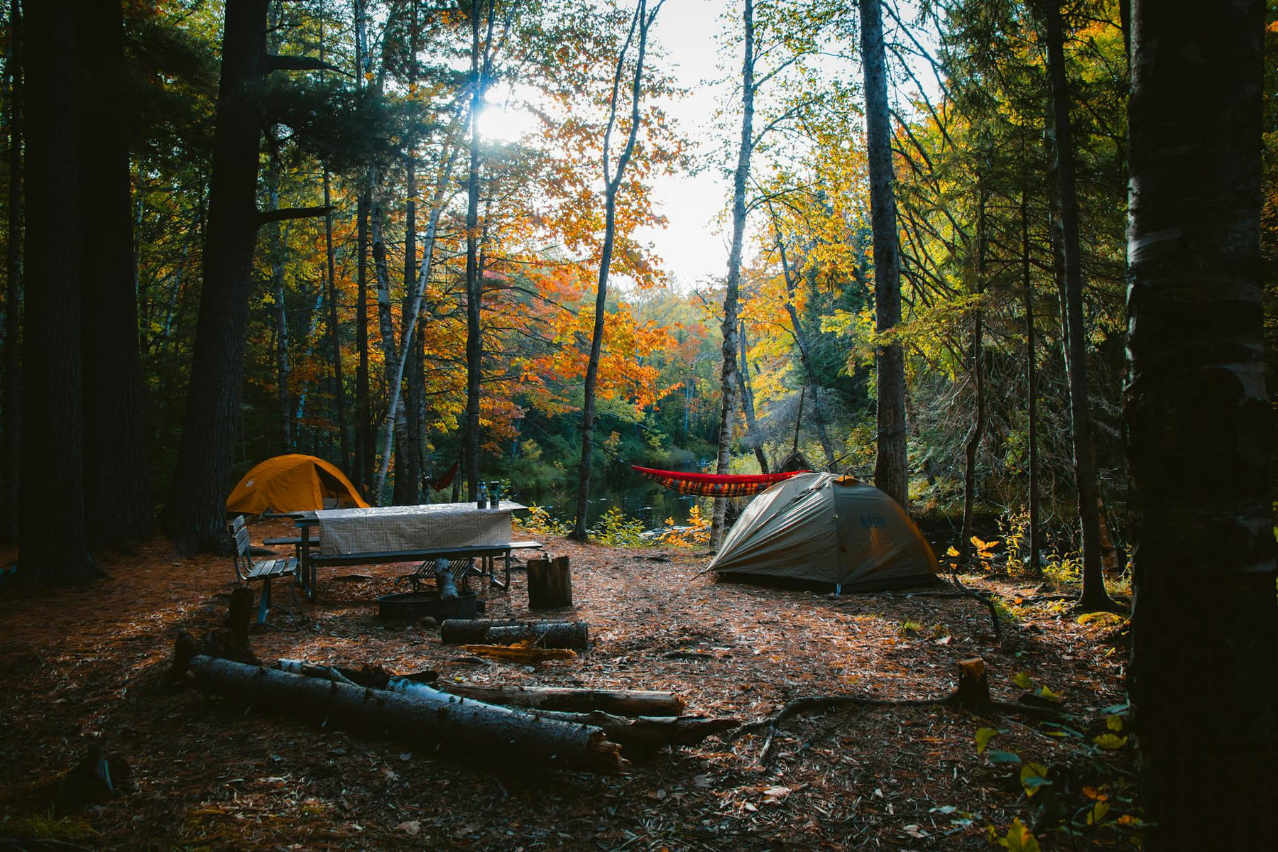 A serene camping site in a colorful autumn forest in Wisconsin, featuring tents and campfire setup. on The Frugal Camper
