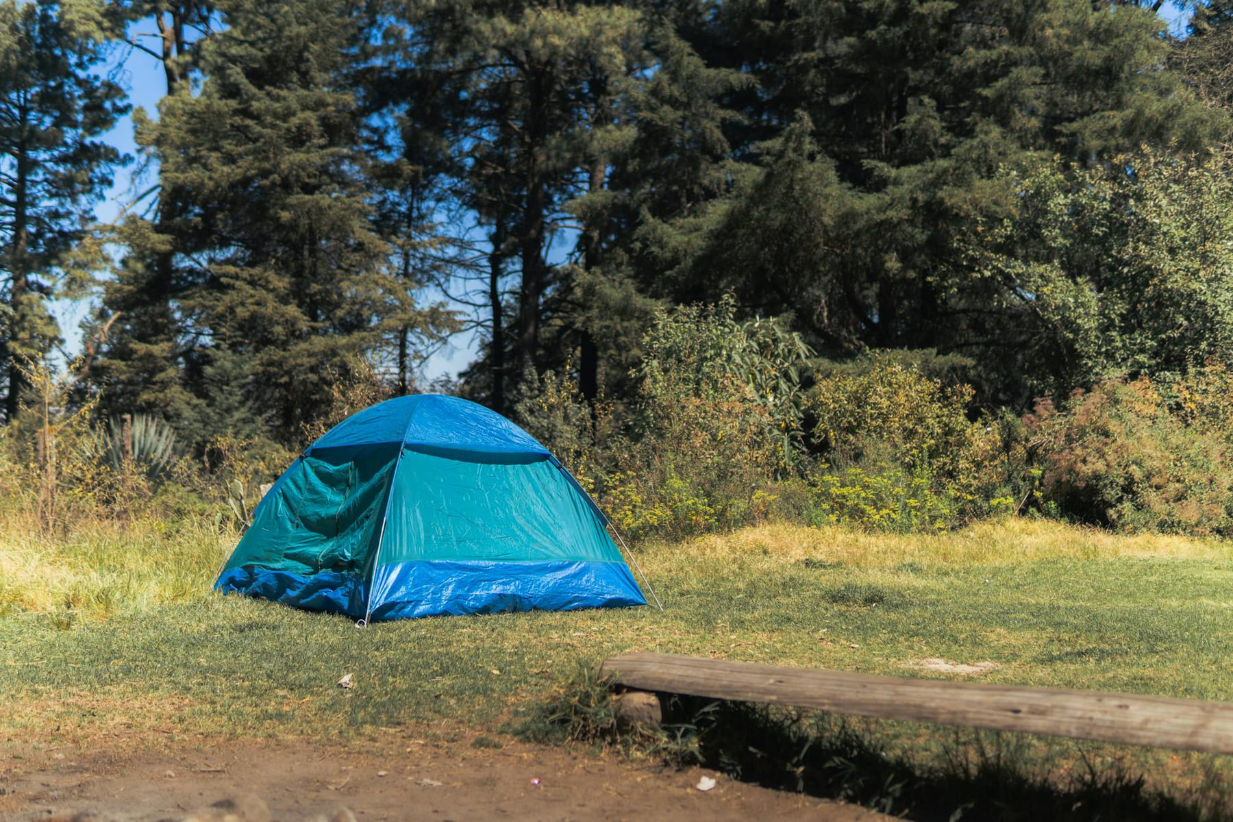 A vibrant blue tent set up in a peaceful forest setting, perfect for outdoor camping adventures. on The Frugal Camper